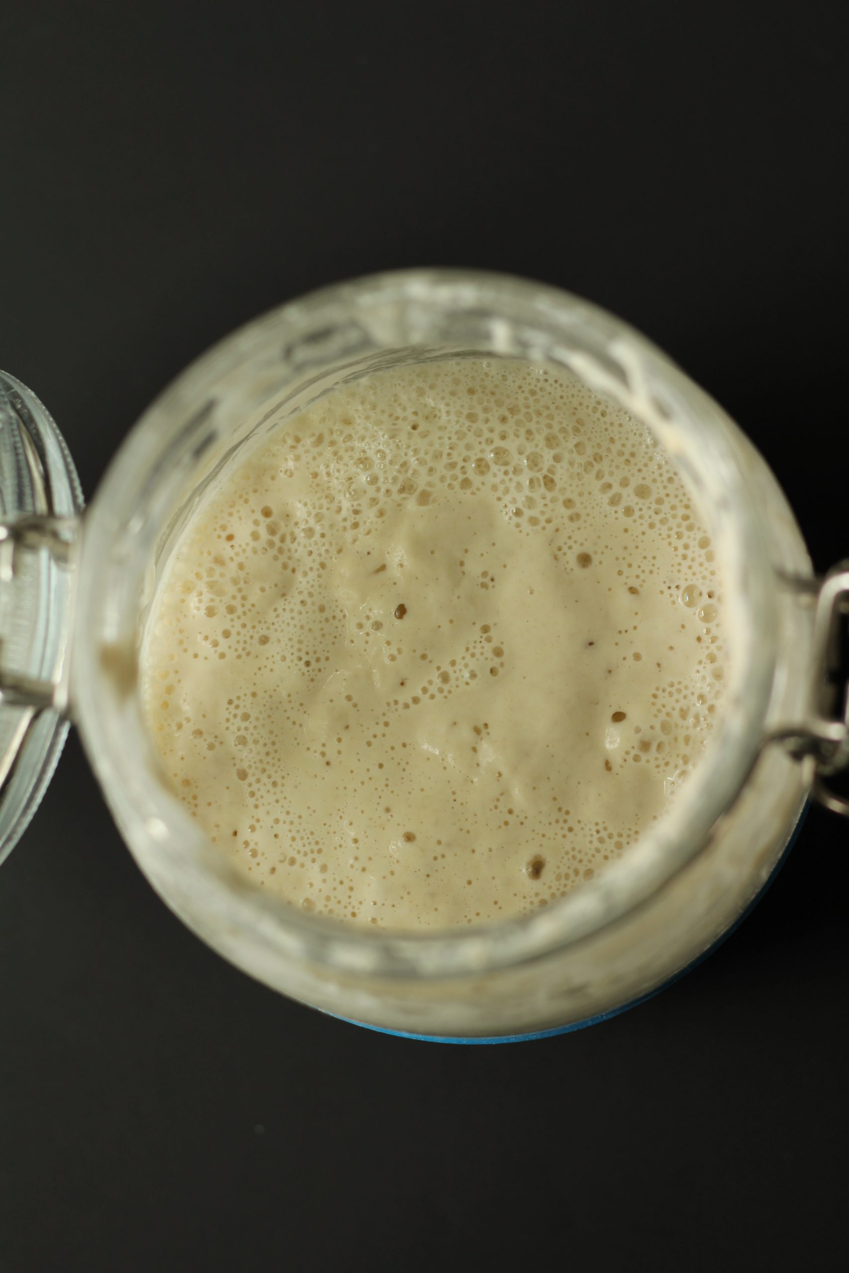 Sourdough starter