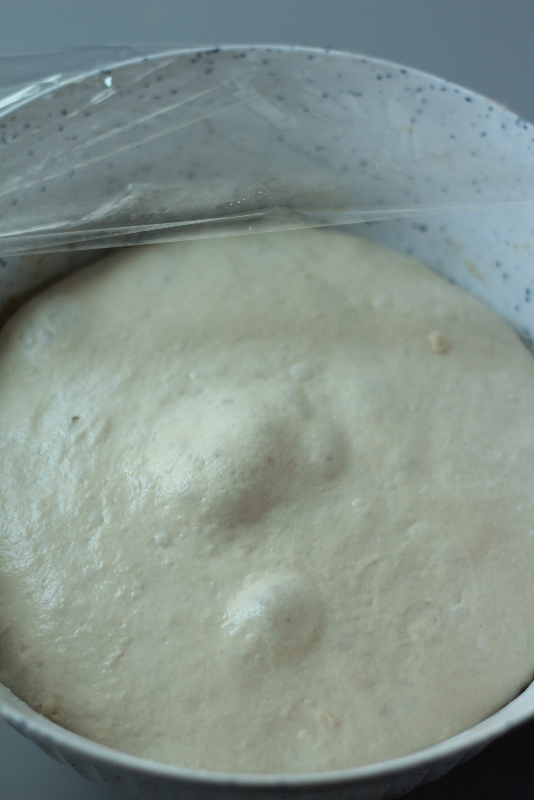 Dough after 8-12 hour ret period