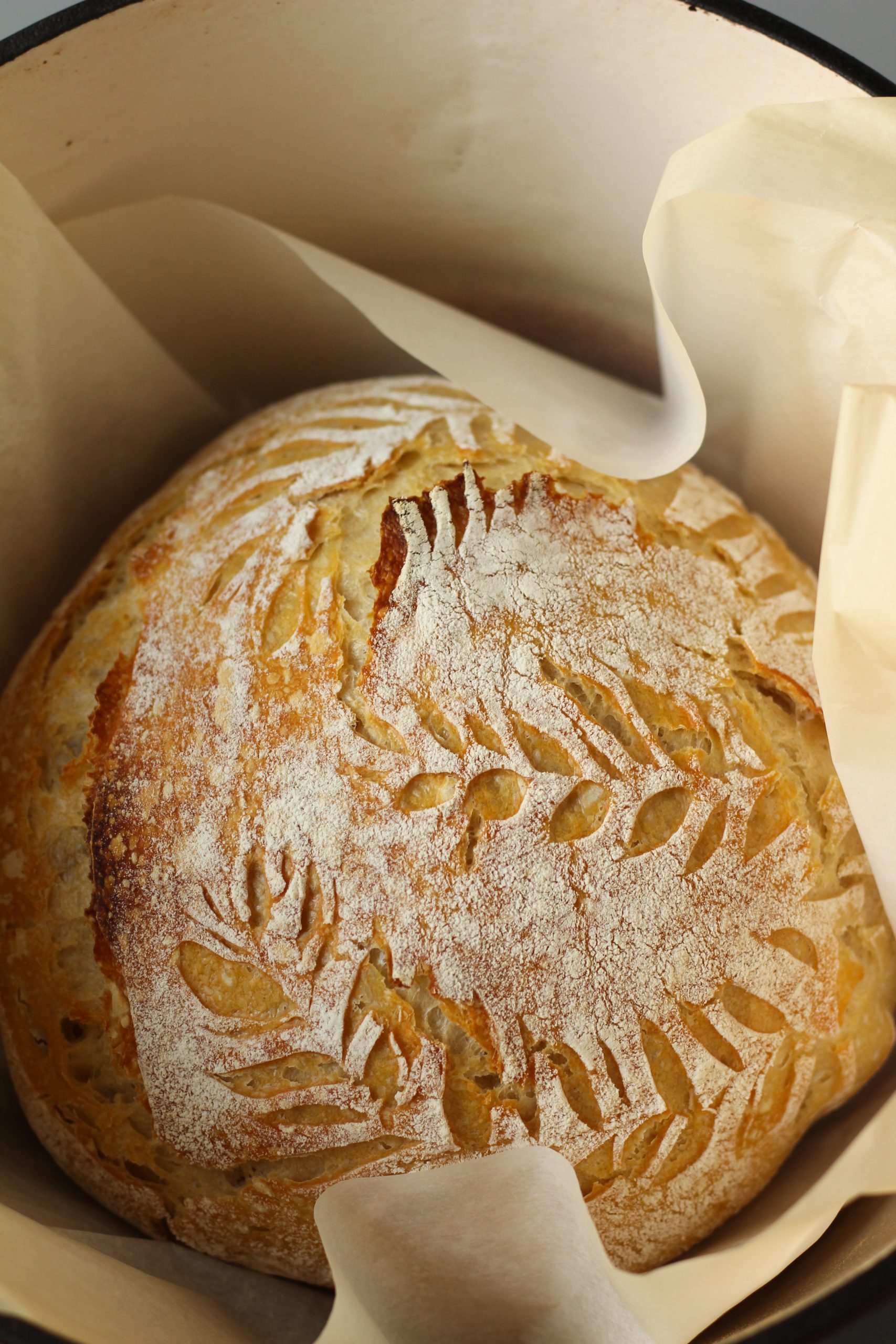 Bread in Dutch oven pan done baking