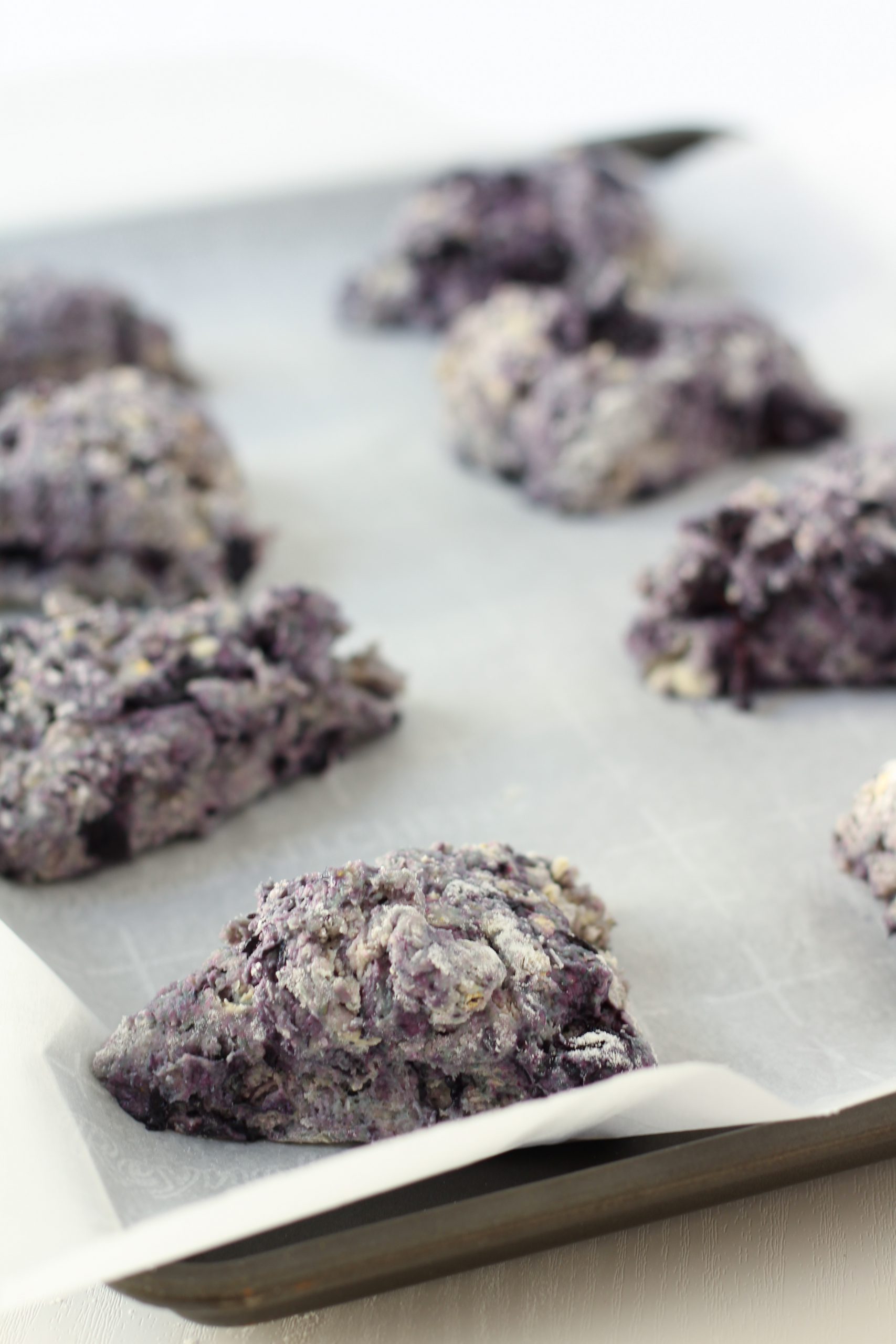 Blueberry scones on baking tray ready to bake